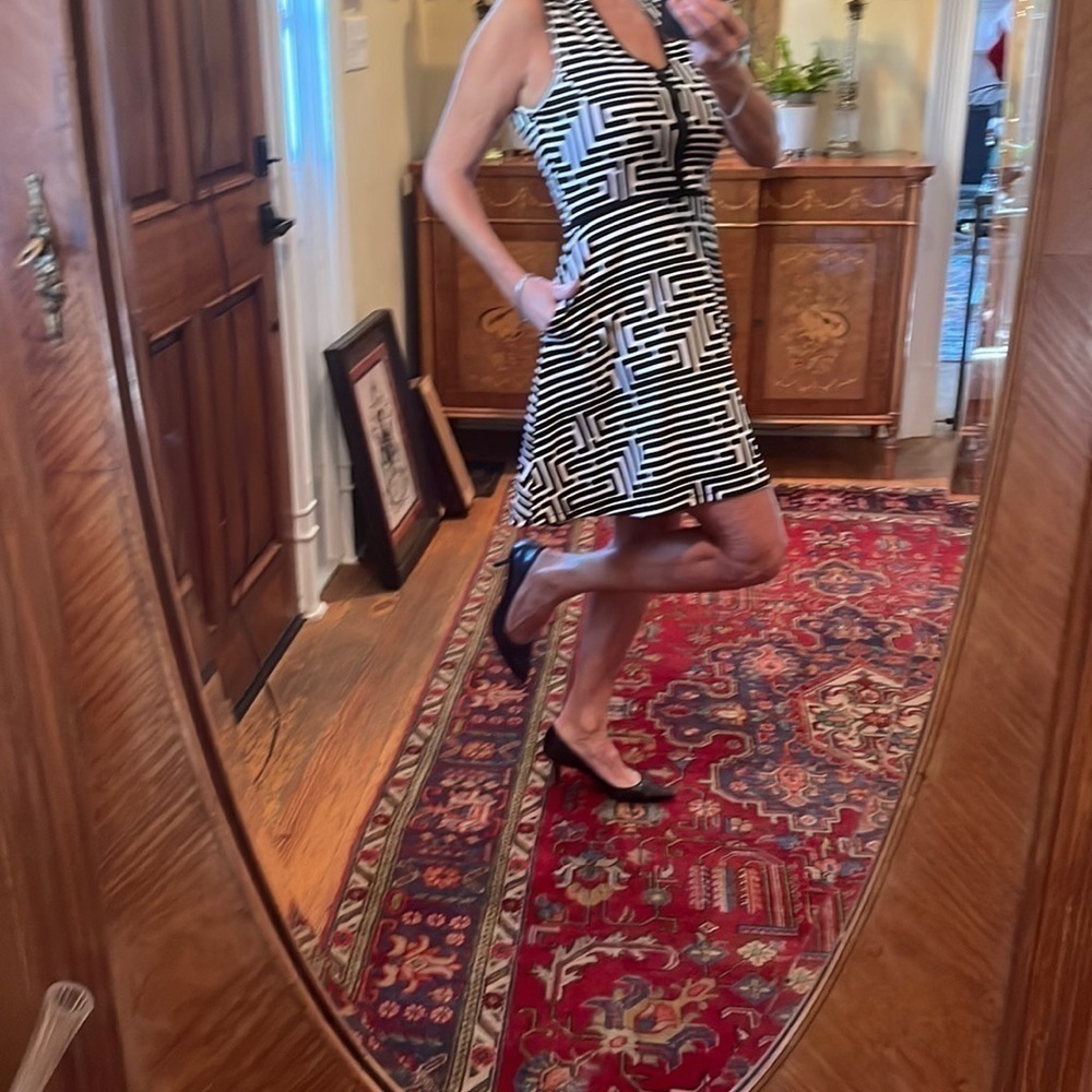 Vfish ⭐️dress